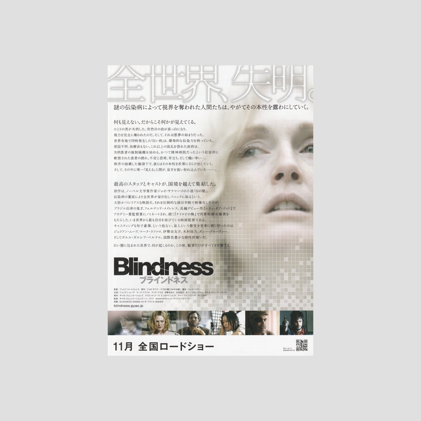 Blindness 2008 – Japanese B5 Chirashi Poster