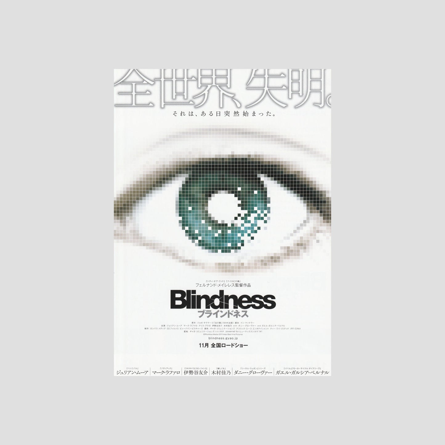 Blindness 2008 – Japanese B5 Chirashi Poster