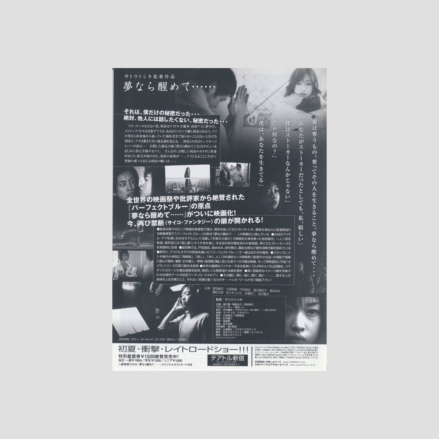 Perfect Blue 2002 – Japanese B5 Chirashi Poster