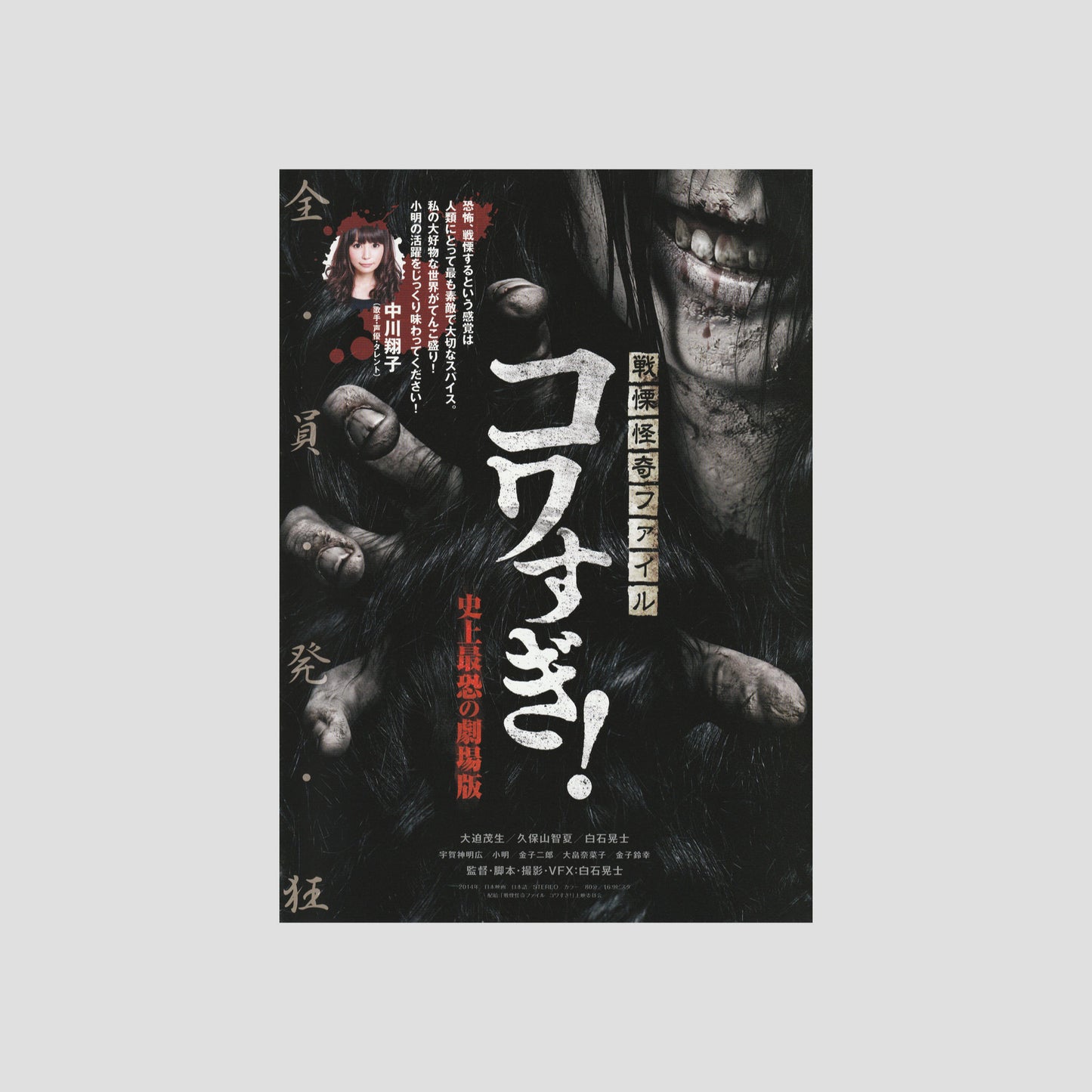 Senritsu Kaiki File Kowasugi (Ver: A) 2014 – Japanese B5 Chirashi Poster